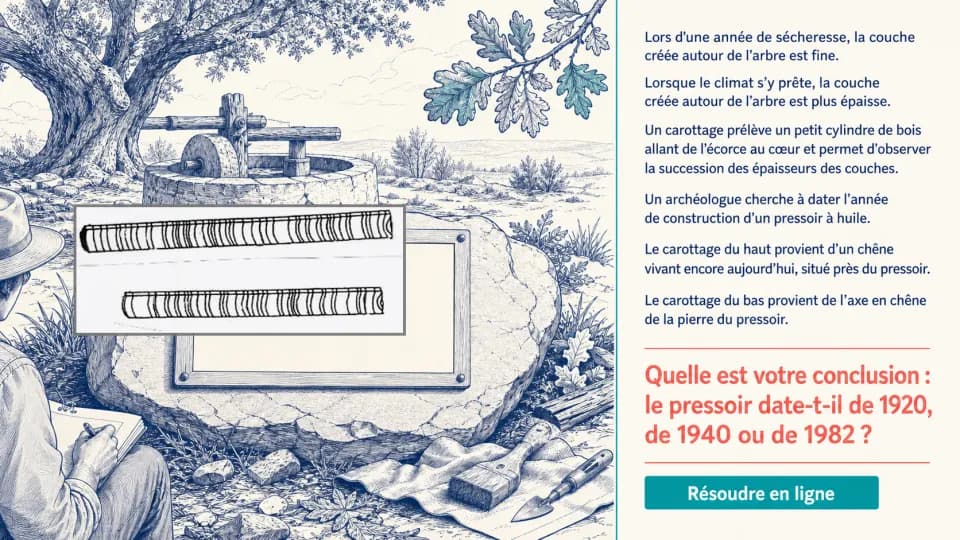 ♦ Carottages