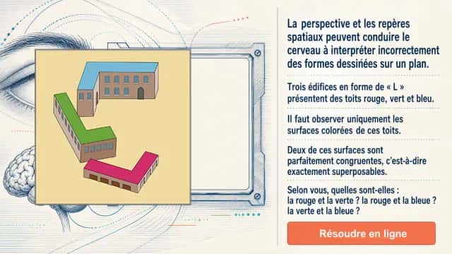 Œil, vision et cerveau : les illusions géométriques | Tangente