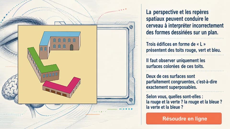 Oeil, vision et cerveau