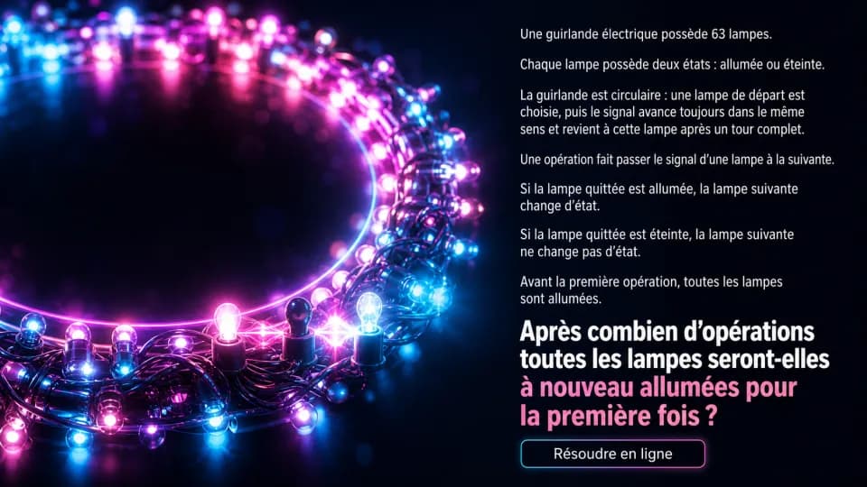 ♦♦♦ La guirlande électrique