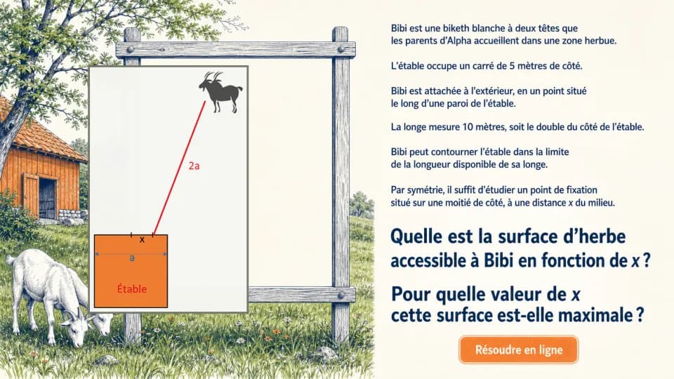 Pour le bien-être de Bibi la biketh