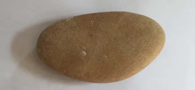 The rattleback
