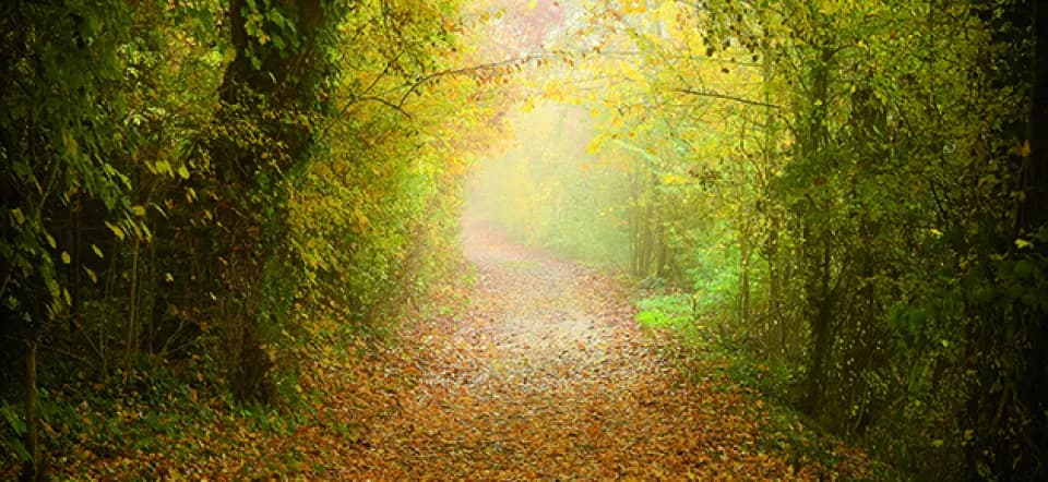 Trouver son chemin vite et bien