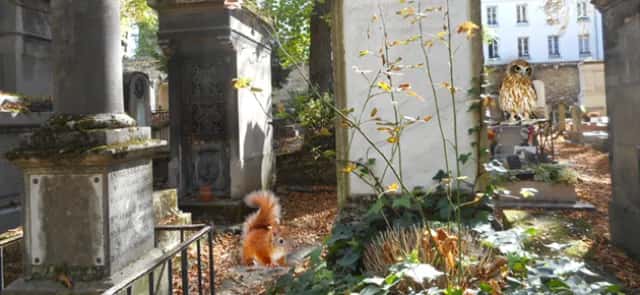 The mathematicians of Père-Lachaise | Tangente