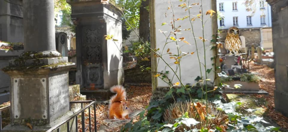 Les mathématiciens du Père-Lachaise