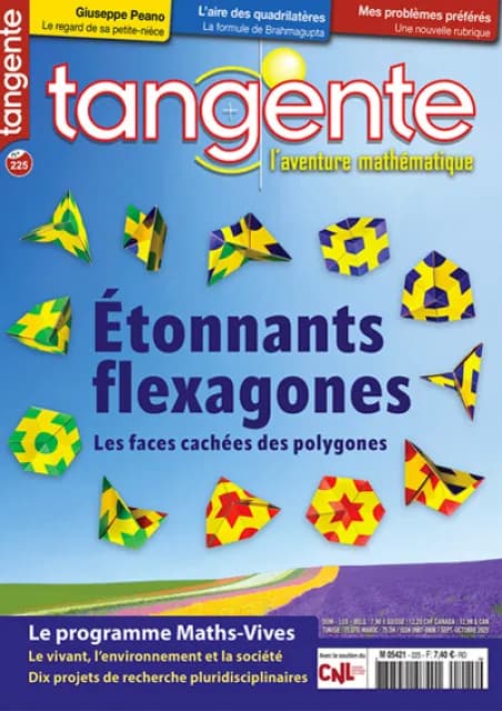 Étonnants flexagones