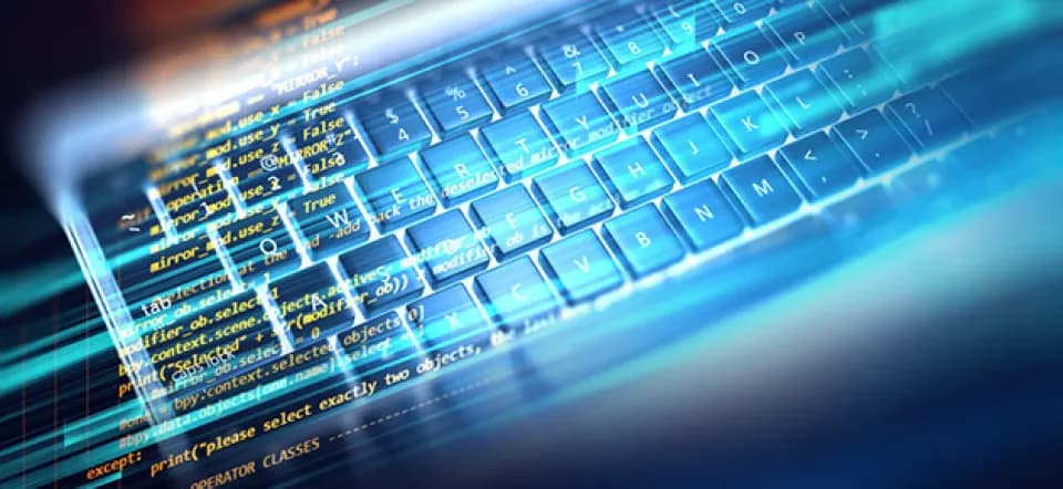 La programmation linéaire en nombres entiers