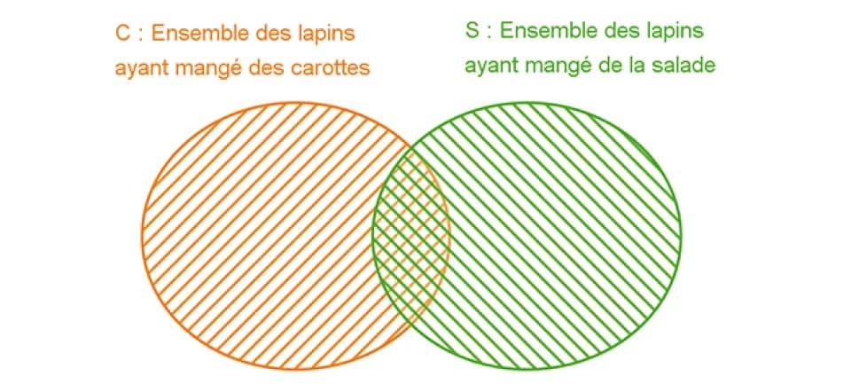 Les diagrammes en patate, une idée qui donne la frite