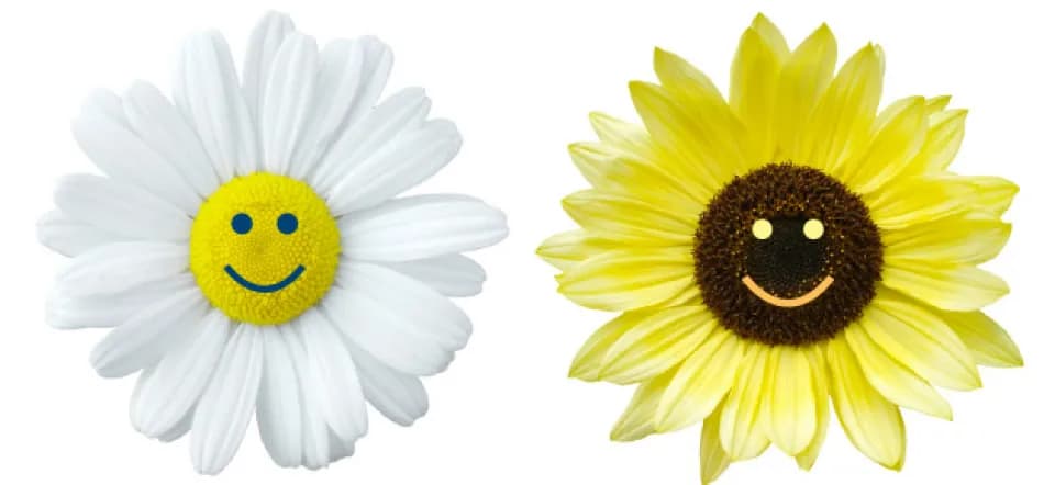It doesn't take much to be happy
