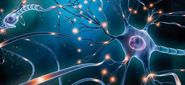 What neurologists think | Tangente