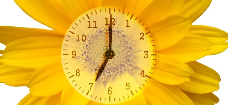 Combien de temps un nombre persiste-t-il ?