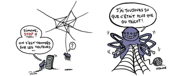 Drawing a spider's web