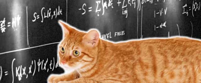 Erwin Schrödinger's cat