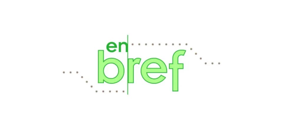 « Digital » ou « numérique » ?