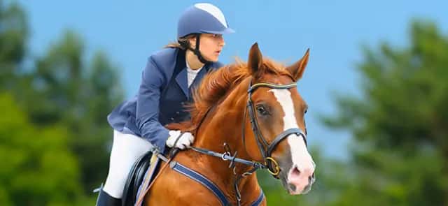 The rider's technique in show jumping