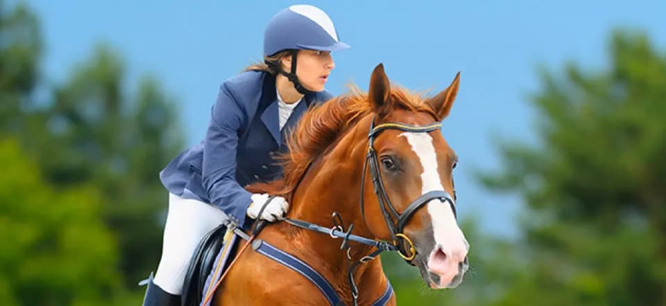 The rider's technique in show jumping