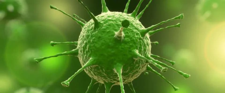 The conquering virus