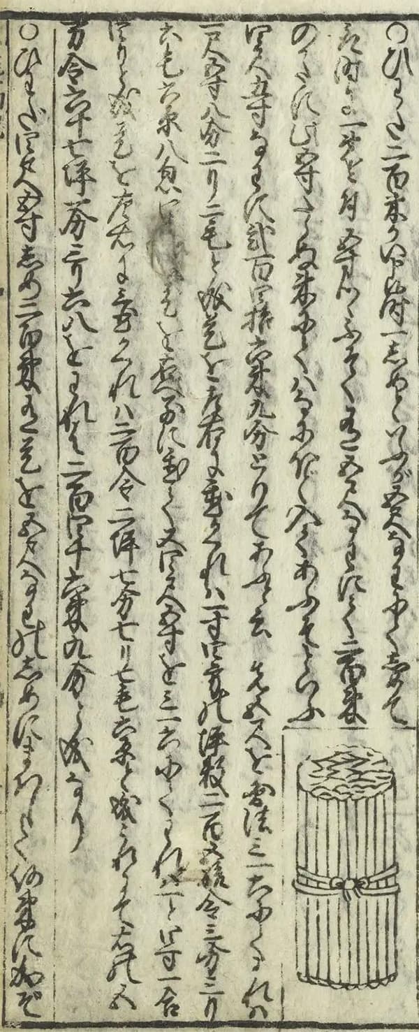 Wasan System Le wasan, mathematiques japonaises de l'epoque d'Edo | Tangente ...